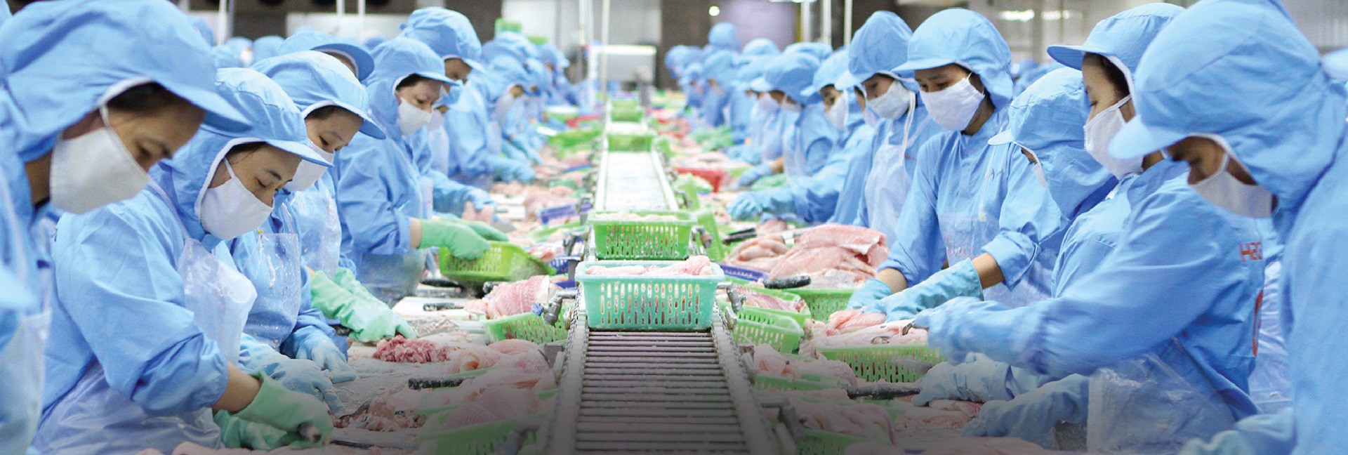 Tiêu chuẩn chế biến toàn cầu