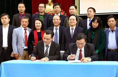 Hợp tác phát triển tài năng bóng đá trong nhà trường