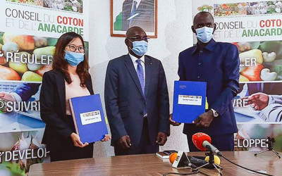 Giữa mùa dịch, Tập đoàn T&T Group lập kỷ lục nhập khẩu 150.000 tấn điều thô